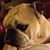 Michelle Hansen's profile image