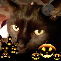 David Taras's profile image
