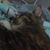 Kaylyn Miles's profile image