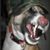 John Derosier's profile image