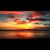Mark David Wilson's profile image