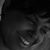 Dawne Wise's profile image
