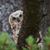 Cindy Brandt's profile image