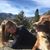 Bonnie Sauer's profile image