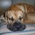 Patty Corun's profile image