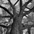 Patricia Covney Schrader's profile image