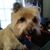 Peggy O'Connor Verry's profile image