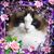 Karen R. Vier's profile image