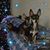 Cecelia Conlan White's profile image