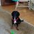 Karen Sherfick's profile image