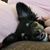 Elmy Escalante's profile image