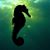 Pamylla Mar's profile image
