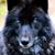 Curtis Englehart's profile image