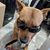 Mark Buse's profile image