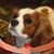 Maryellen Coughlin's profile image