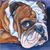 Aaron Albert McQuinn's profile image