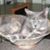 Sandra Holthe's profile image