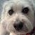 Linda Pfeifer Mulder's profile image