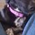 Rebecca Osborne Roten's profile image