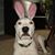 Karyn McMaster Hartman's profile image