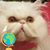 Tatyana Gubanov's profile image
