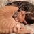 Karen Burgert's profile image