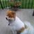 Donna Farragh's profile image