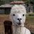 Jim Hummel's profile image