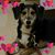 Judith Holler-Rossell's profile image