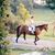 Maureen C Haley's profile image