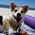 Deb Clark's profile image