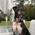 Denise Moyer's profile image