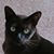 Molo Jackson's profile image