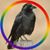 Corinne S. Smith's profile image