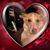 Stephanie Ouhadi's profile image