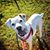 Michelle Beston's profile image