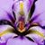 Amber Shaw's profile image