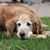Amy Sholund Holsten's profile image