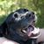 Richner KM's profile image