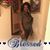Cynthia Harrell Williams's profile image