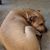 Debbie Gravelle Halstead's profile image