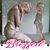Terri Stott's profile image