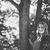 Kaitlin Sullivan's profile image