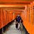 Jeff Khuu's profile image