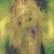 G Matthew Mapes's profile image