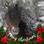 Robin Carman O'Neal's profile image