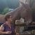 Jennifer L Mason's profile image