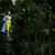 Cindy Higginson's profile image
