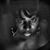 Aurra Griffith's profile image