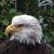 Jim Campbell's profile image